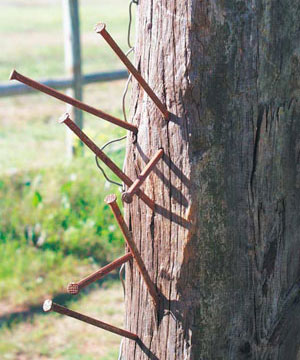 Los clavos en el poste gatepost.jpg