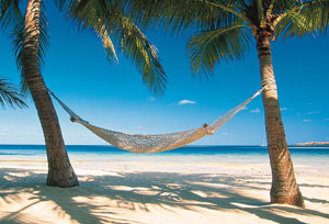 Moderarse o colapsar hammock.jpg