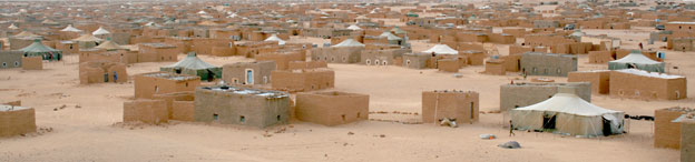 Sahara 2010 2010_sahara_town.jpg